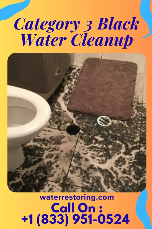 Category 3 Black Water Cleanup in Hamilton, TX