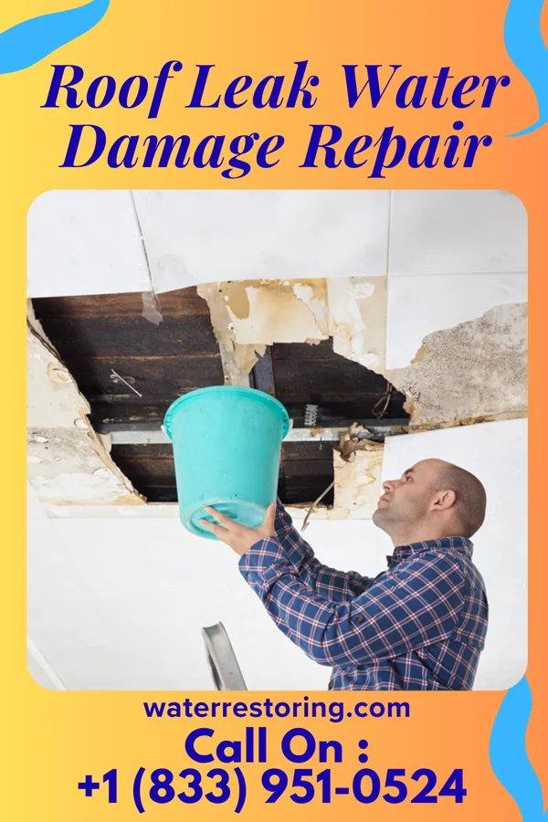 Roof Leak Water Damage Repair in Hamilton, TX