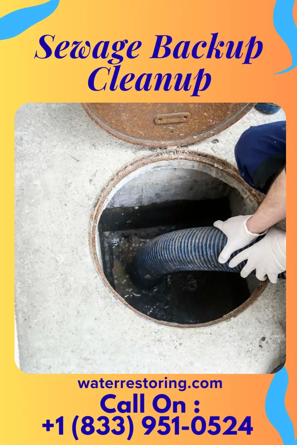 Sewage Backup Cleanup in Hamilton, TX