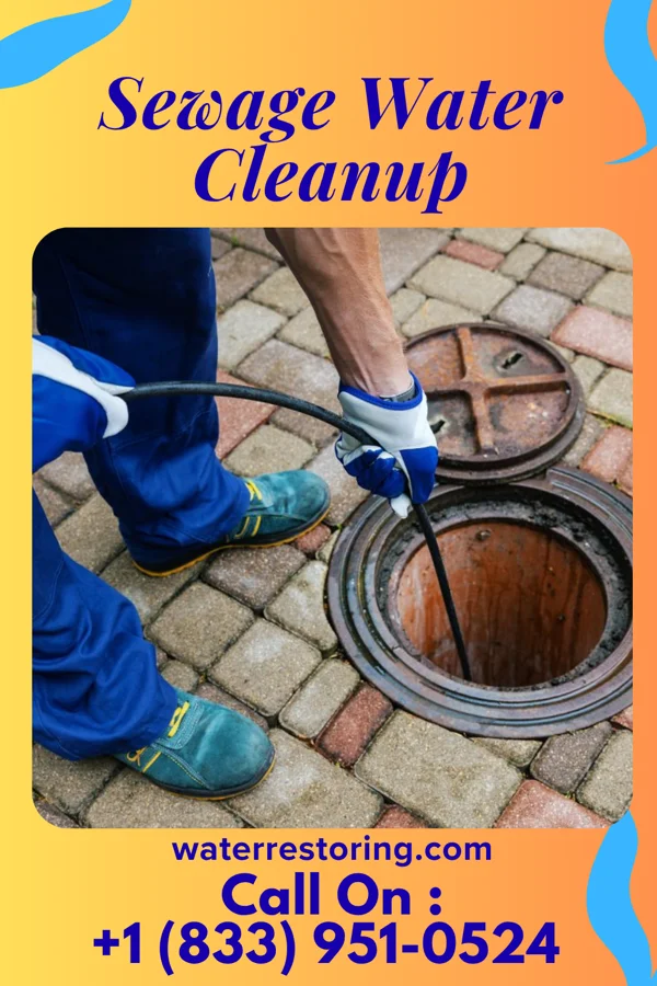 Sewage Water Cleanup in Hamilton, TX